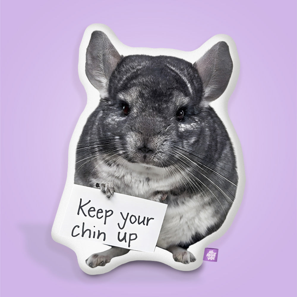 Kool Kori™ – La Almohada de Pom más Fresca