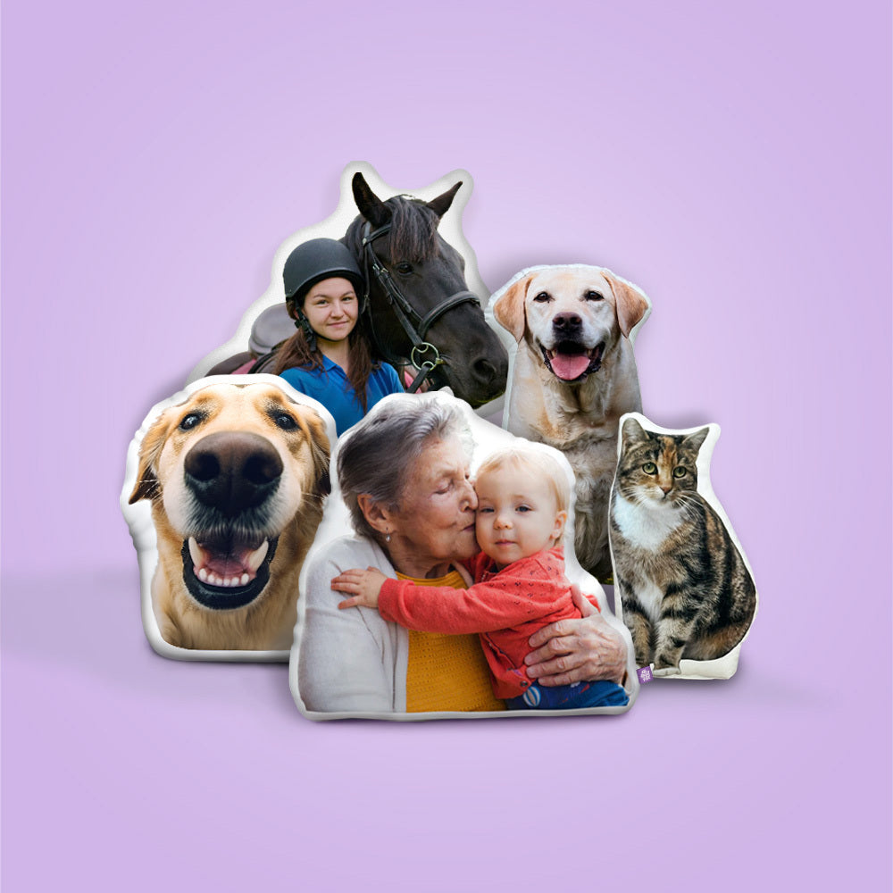 Almohada Personalizada en Forma de Axolotl