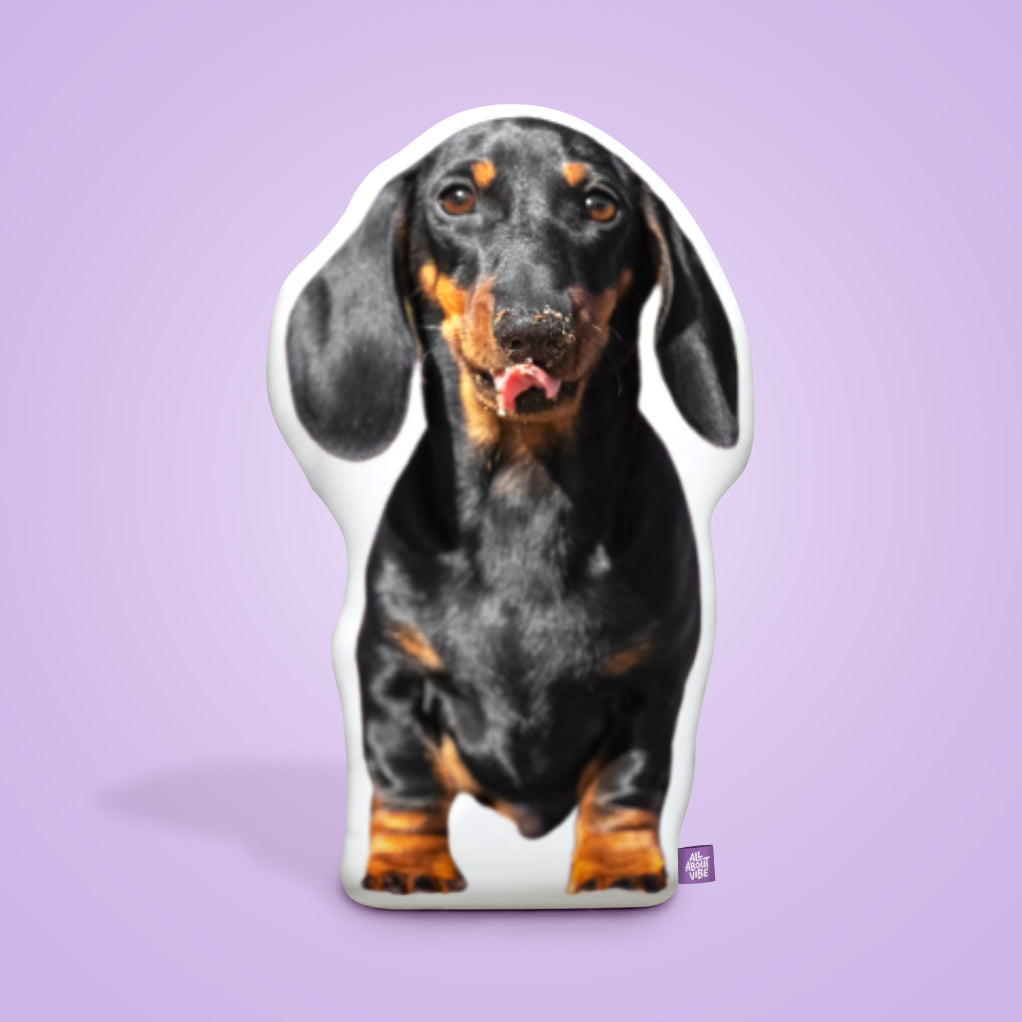 Dachshund Throw Pillows