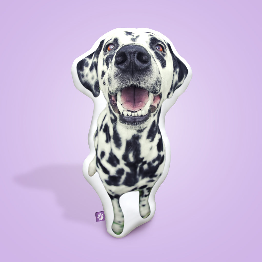 Dalmatian Throw Pillows