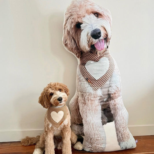 Custom Pet Pillow