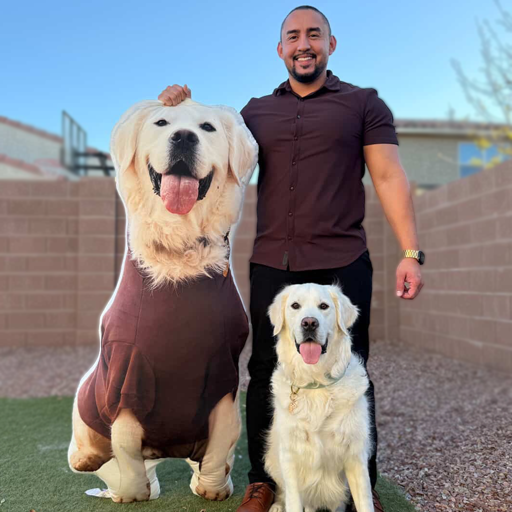 Custom Shaped Dog Pillow