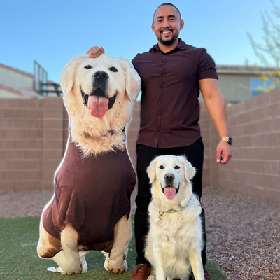 Custom Shaped Dog Pillow