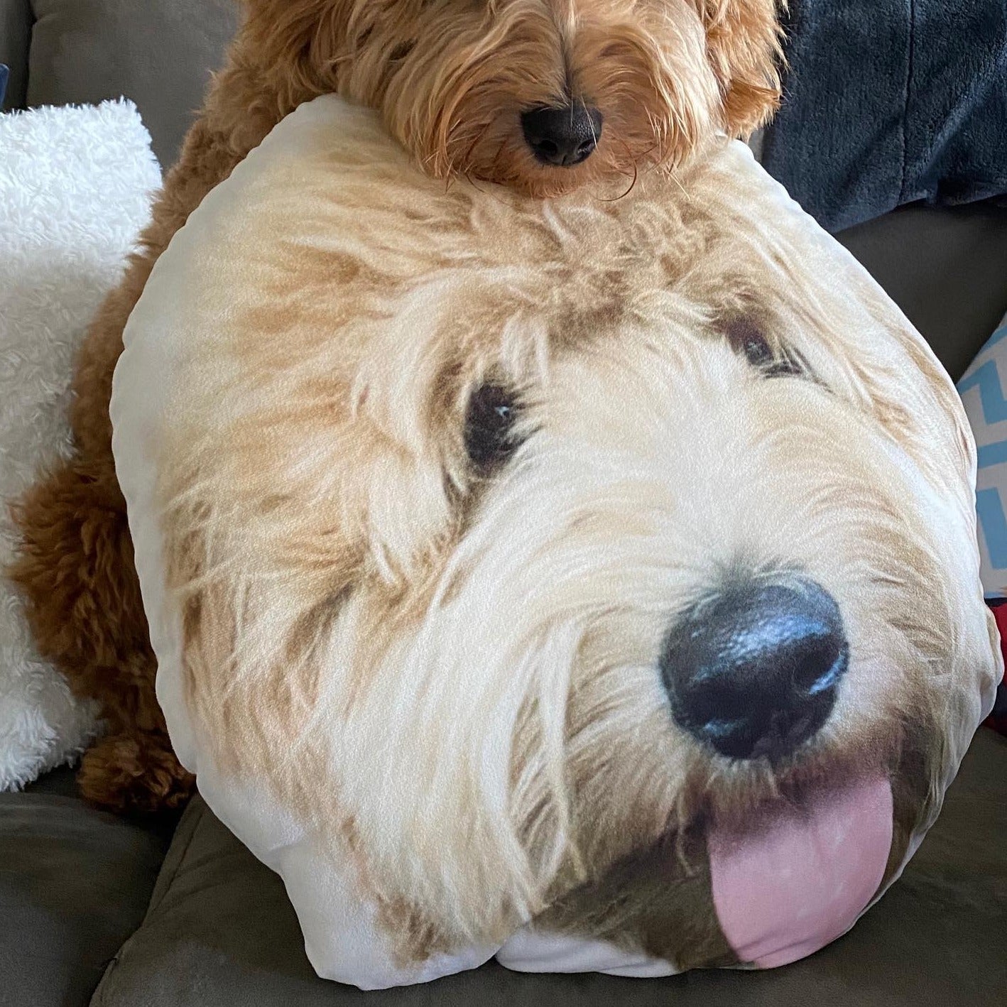 Almohada Personalizada con Forma de Goldendoodle