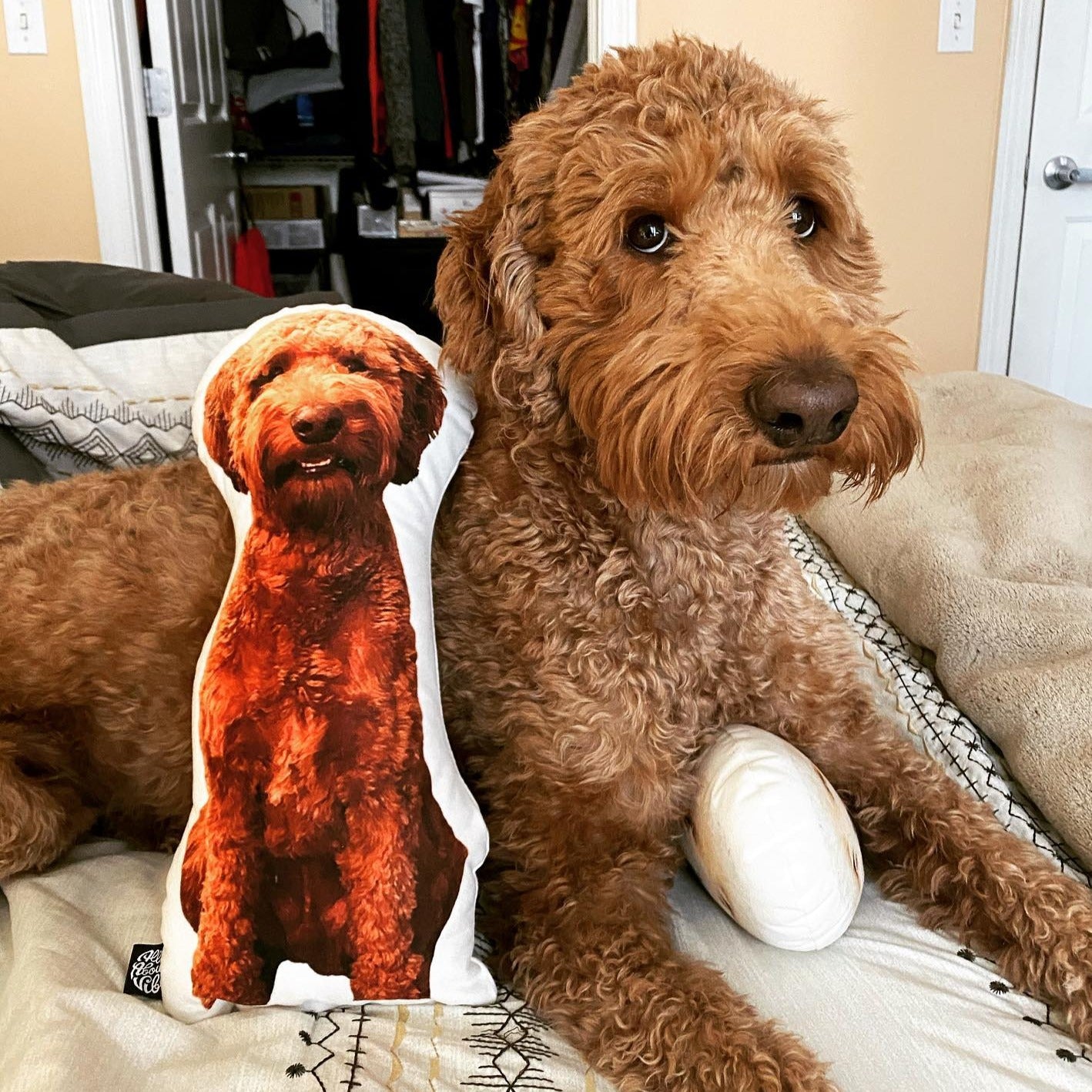 Almohada Personalizada con Forma de Goldendoodle