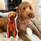 Goldendoodle Custom Shaped Pillow
