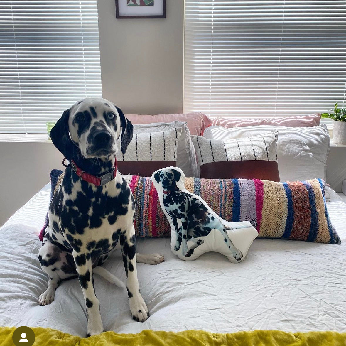 Dalmatian Custom Shaped Pillow