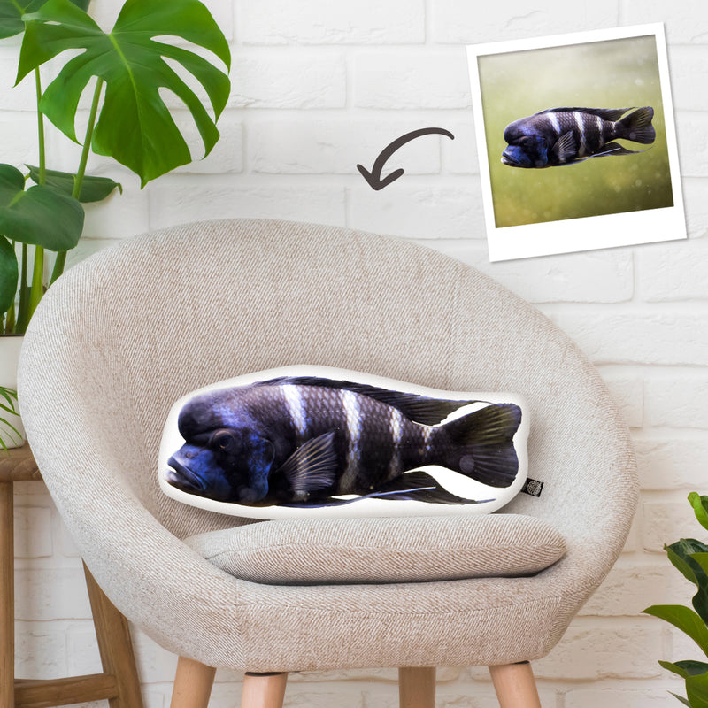 Custom Shaped Fish Pillow