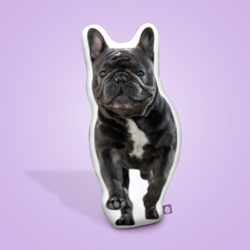 French Bulldog Throw Pillows