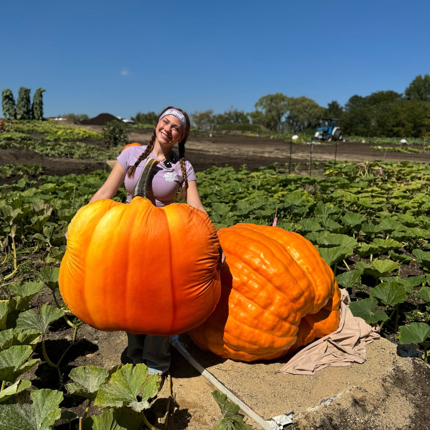Large Pumpkin Pillow
