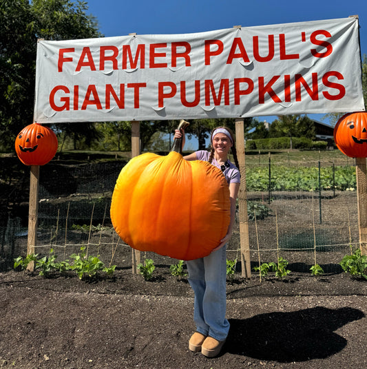 30" Almohada de Pan Grande