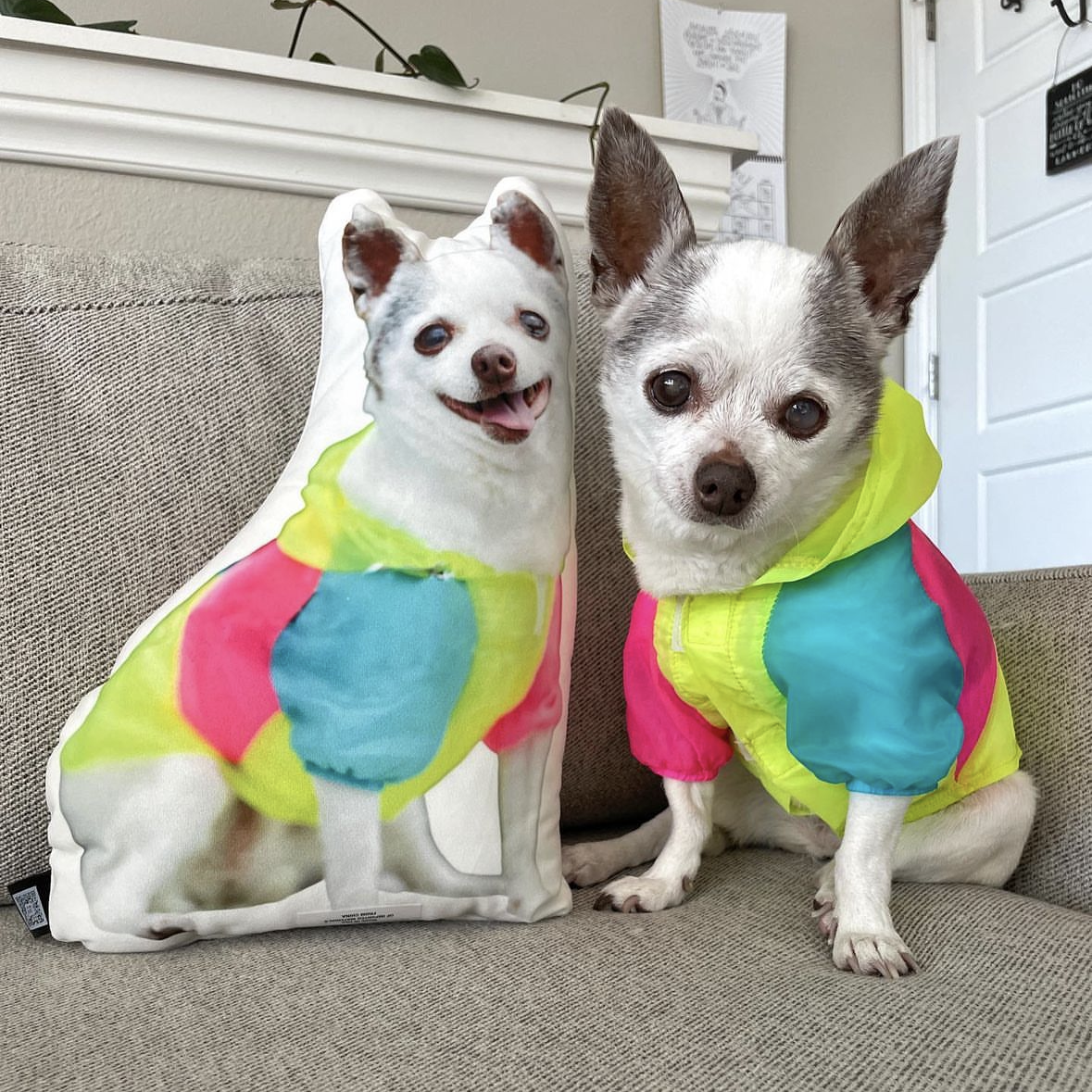 Almohada Decorativa para Perros con Forma Personalizada de Halloween