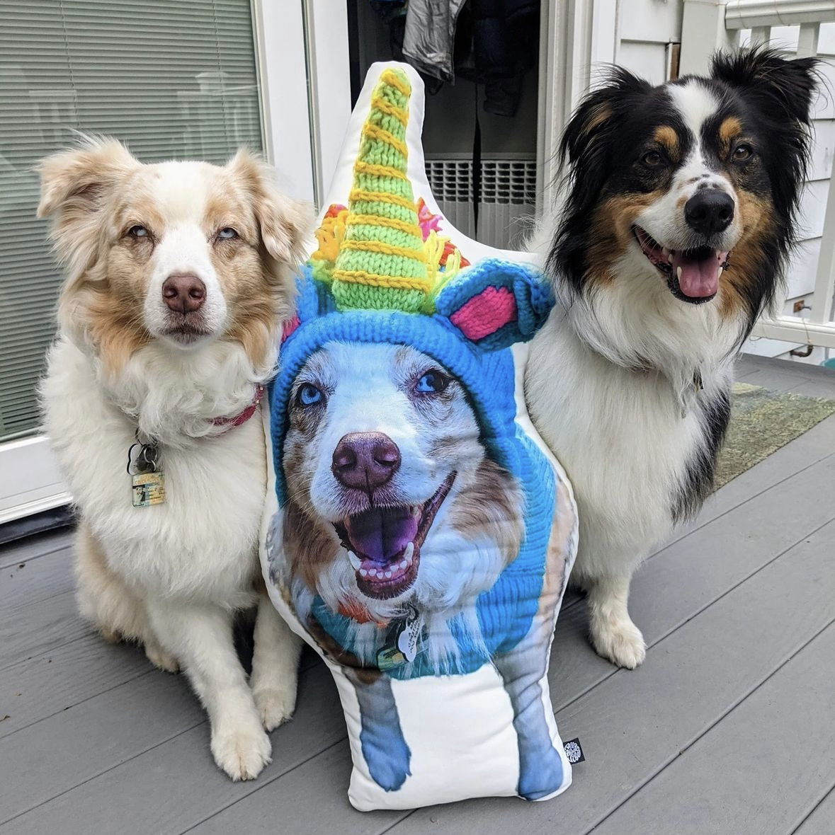 Almohada Decorativa para Perros con Forma Personalizada de Halloween