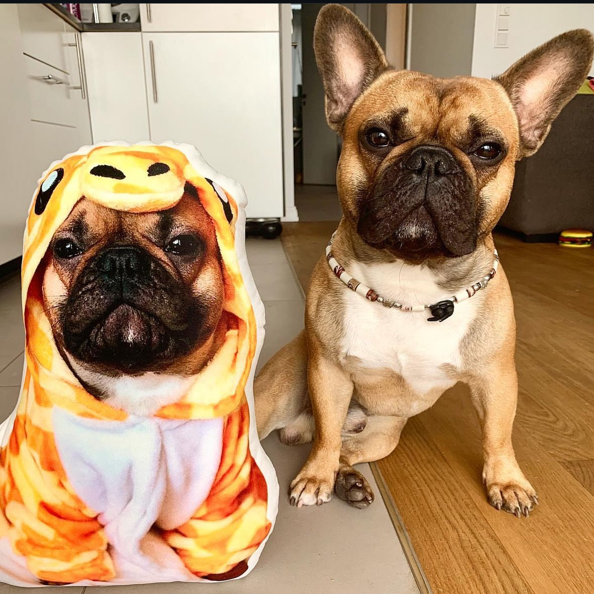 Almohada Decorativa para Perros con Forma Personalizada de Halloween