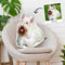 Scottish Terrier Custom Shaped Pillow