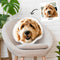 Goldendoodle Custom Shaped Pillow