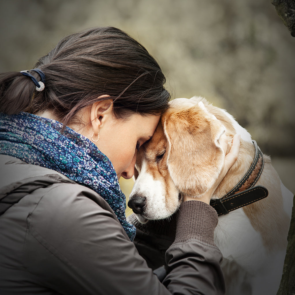 Ideas de regalos para la pérdida de una mascota