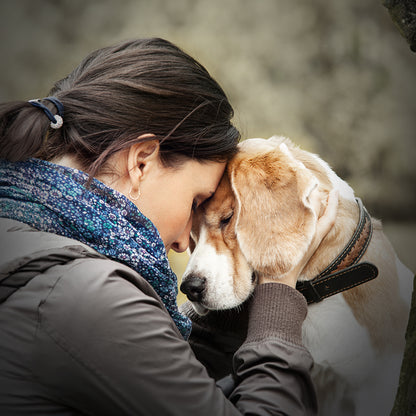 Ideas de regalos para la pérdida de una mascota