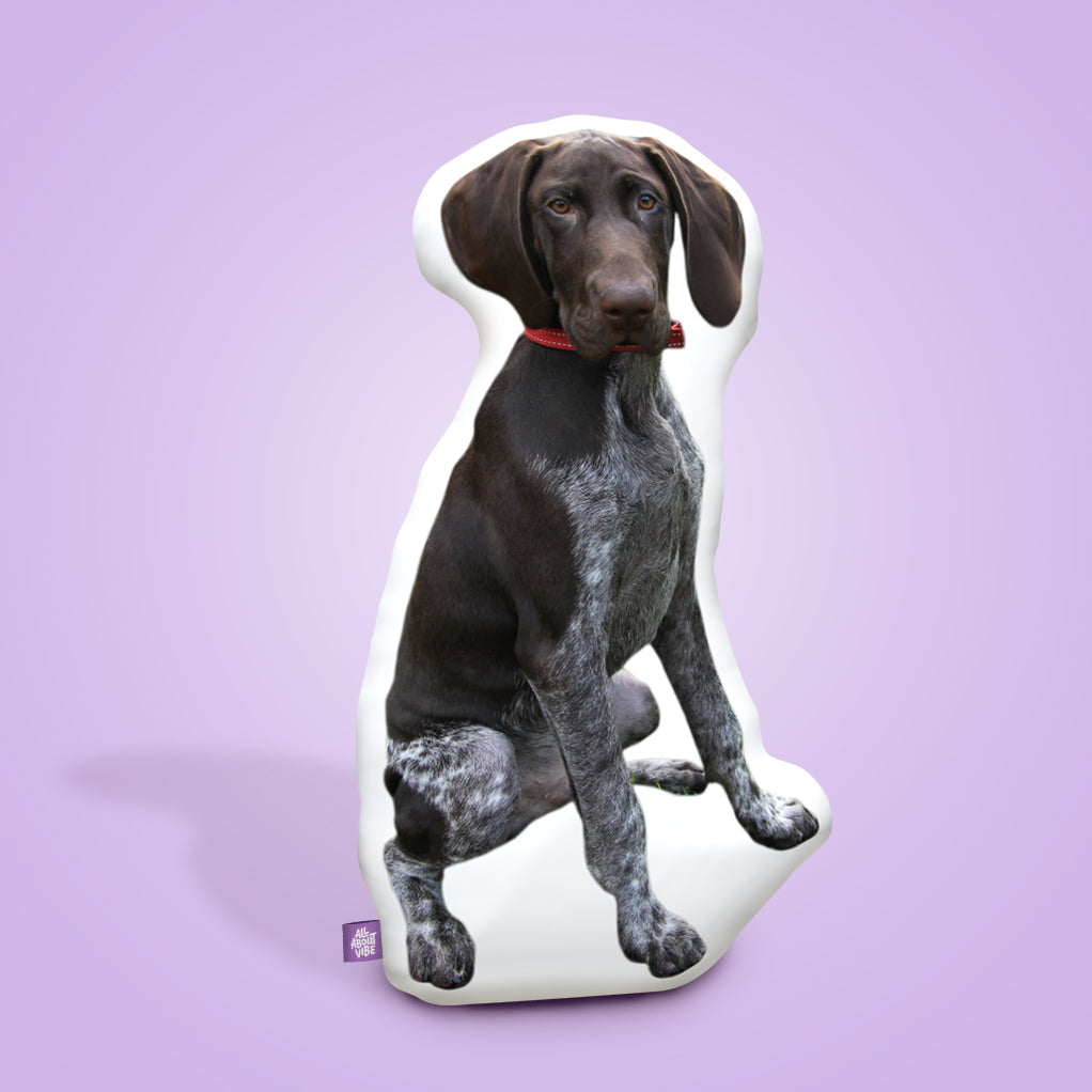 German Short Haired Pointer Throw Pillows