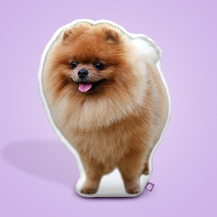 Almohada Personalizada con Forma de Pomerania