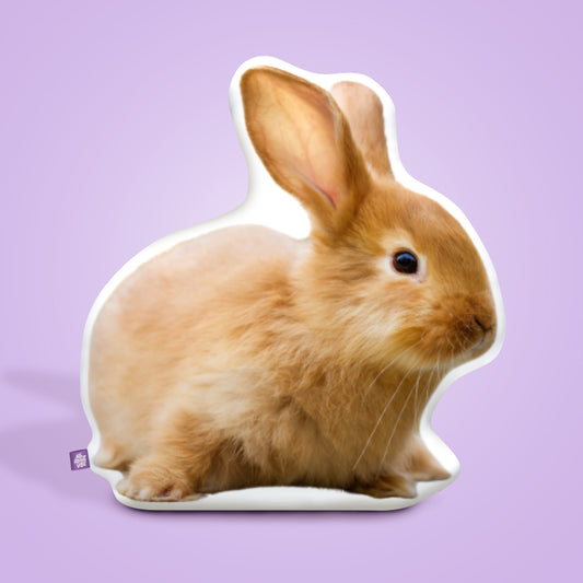 Almohada Personalizada en Forma de Conejo