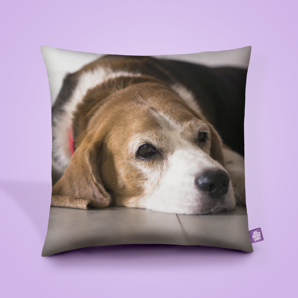 Square Throw Pillows