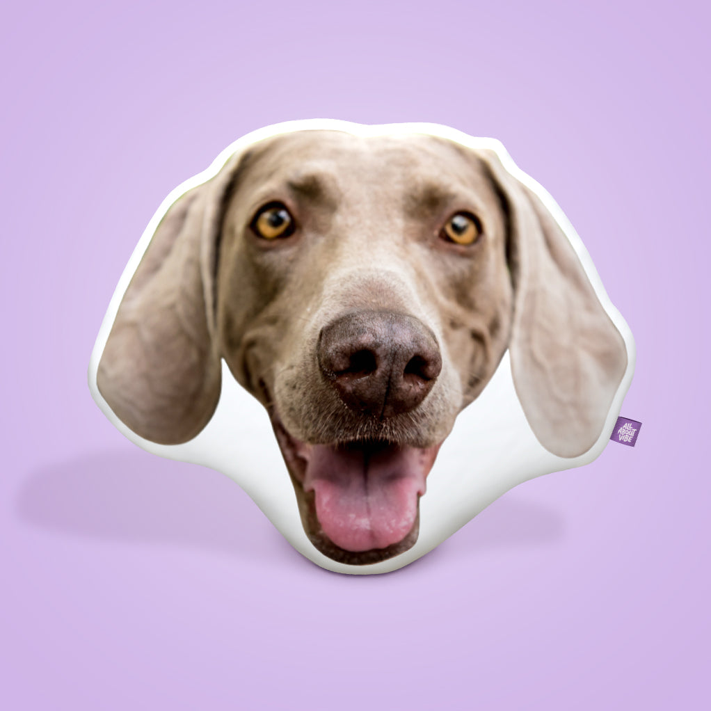 Weimaraner Throw Pillows