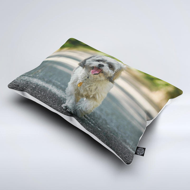 Custom Pet Bed Pillow All About Vibe