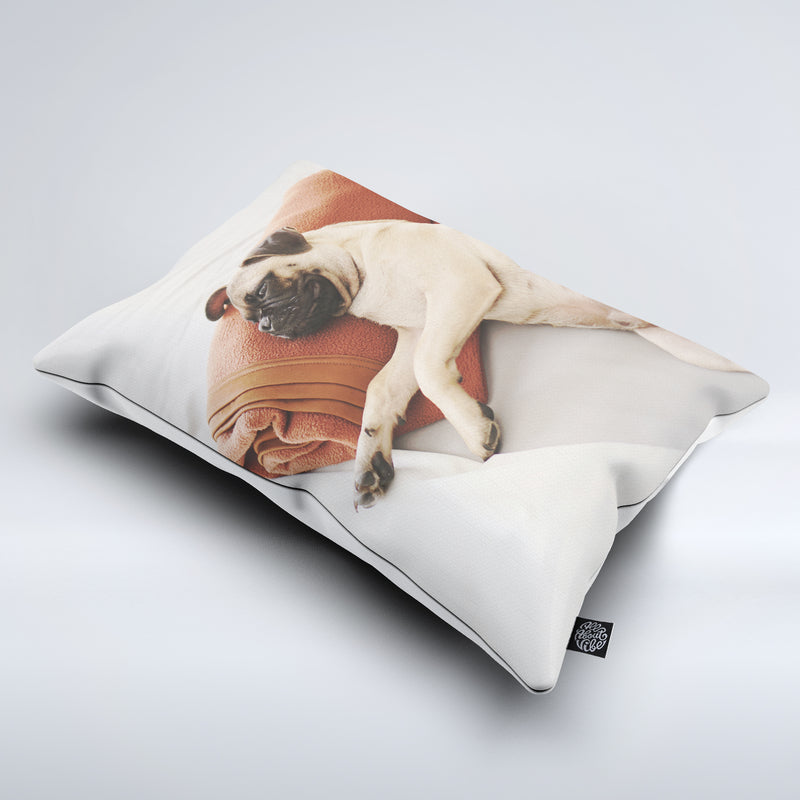 Custom Pet Bed Pillow All About Vibe