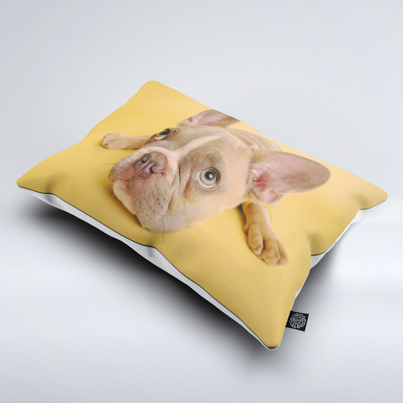 Custom Pet Bed Pillow All About Vibe