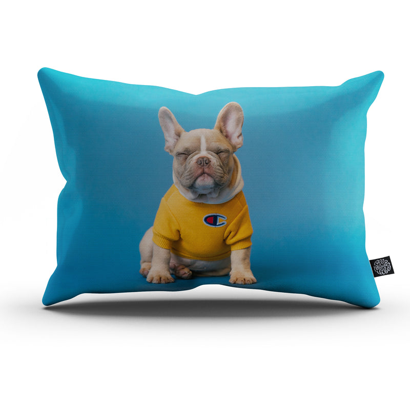 Custom Pet Bed Pillow All About Vibe