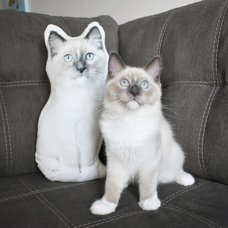 Custom Shaped Cat Pillow