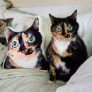 Custom Cat Pillow