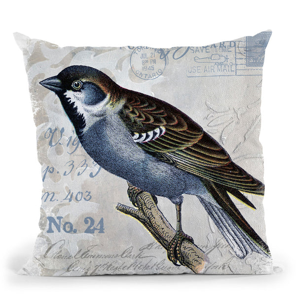 Vintage Art Throw Pillows – Page 3 – All About Vibe