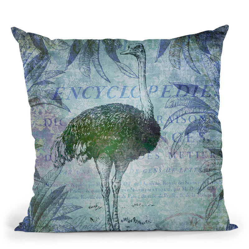 Vintage Ostrich Throw Pillow By Andrea Haase