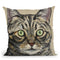 Cat Tabby Ontan Throw Pillow By Hippie Hound Studios - All About Vibe