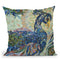 Peacock 2 Throw Pillow By Erika Pochybova - All About Vibe