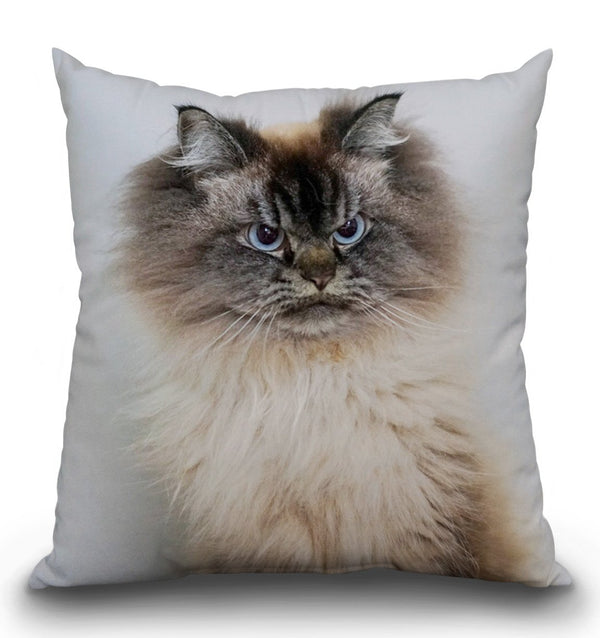 Merlin Be Careful With Me Throw Pillow