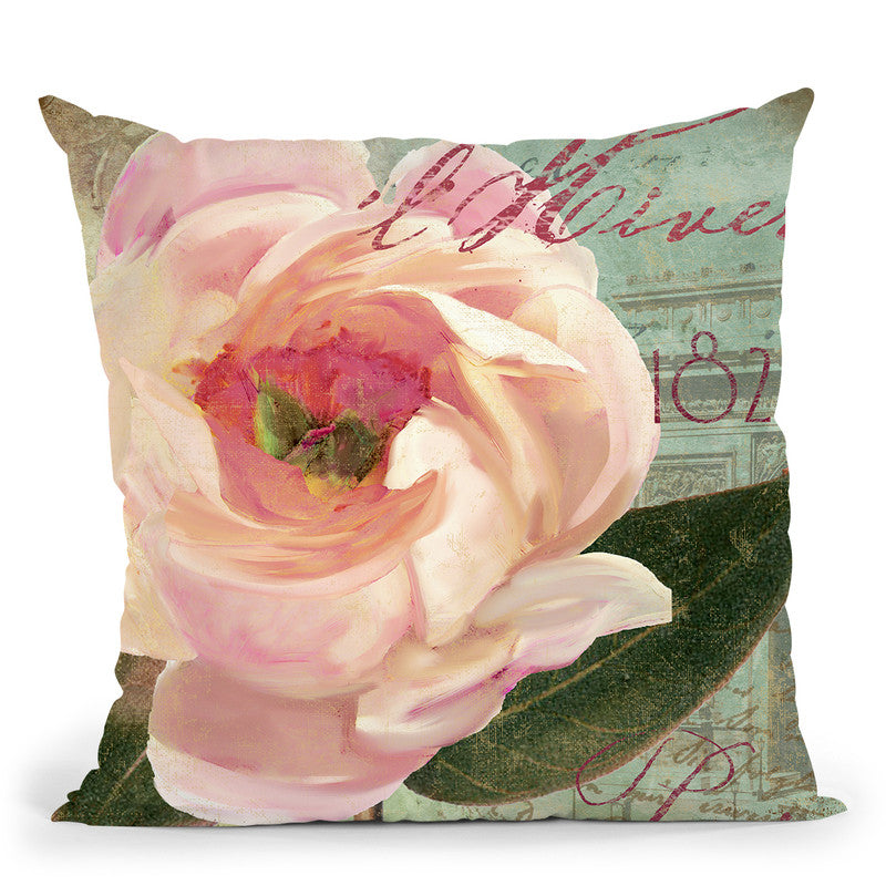 Saisons Ii Throw Pillow By Color Bakery