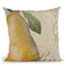 Fruits Classique Iv Throw Pillow By Color Bakery