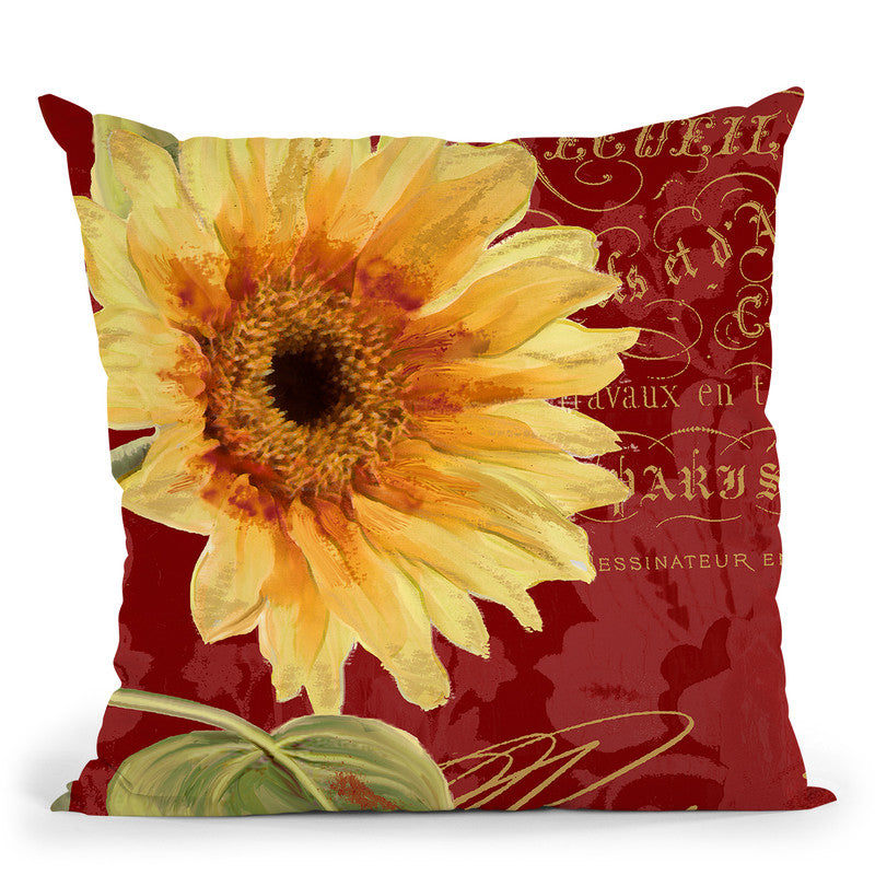 Ete Iv Throw Pillow By Color Bakery