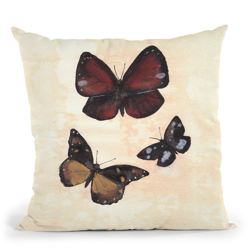 Butterfly Study Ii Throw Pillow By Christine Lindstrom