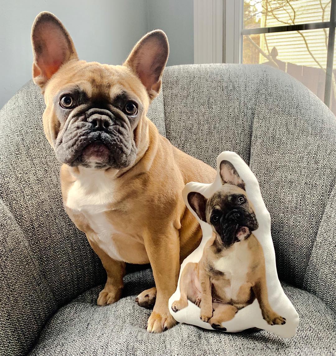 French Bulldog Custom Shaped Pillow