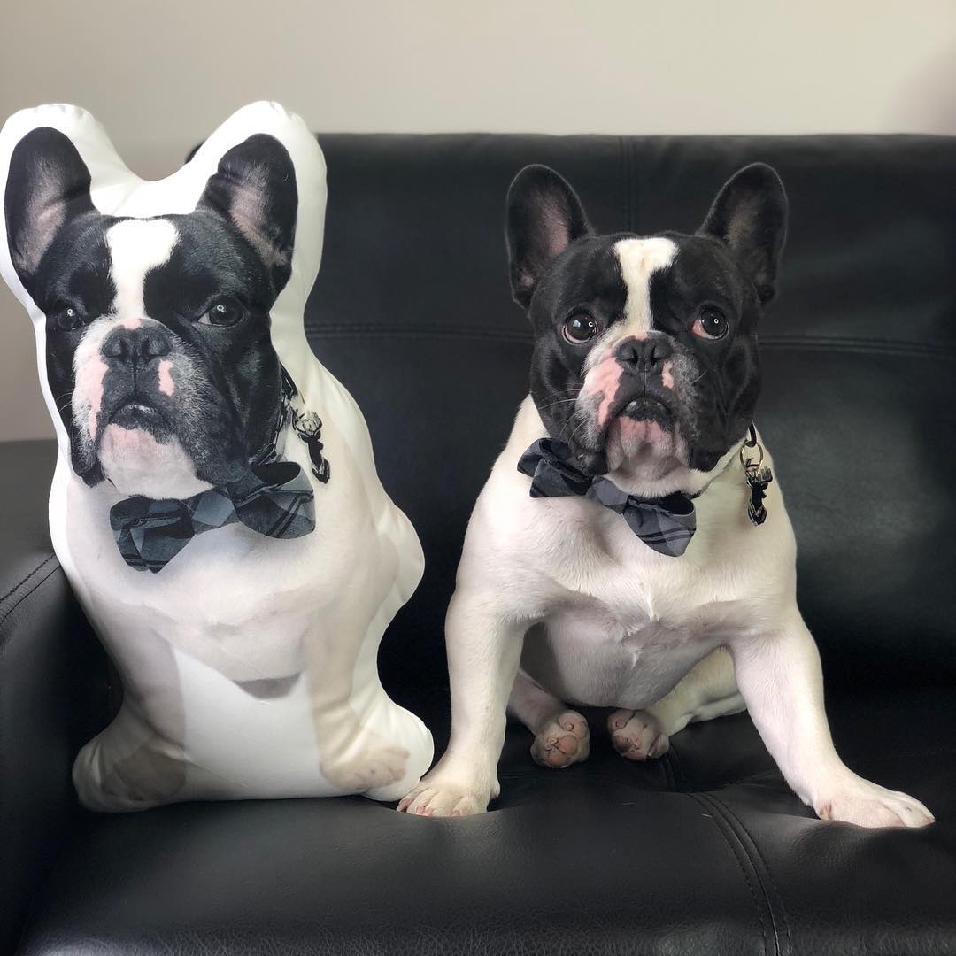 French Bulldog Custom Shaped Pillow