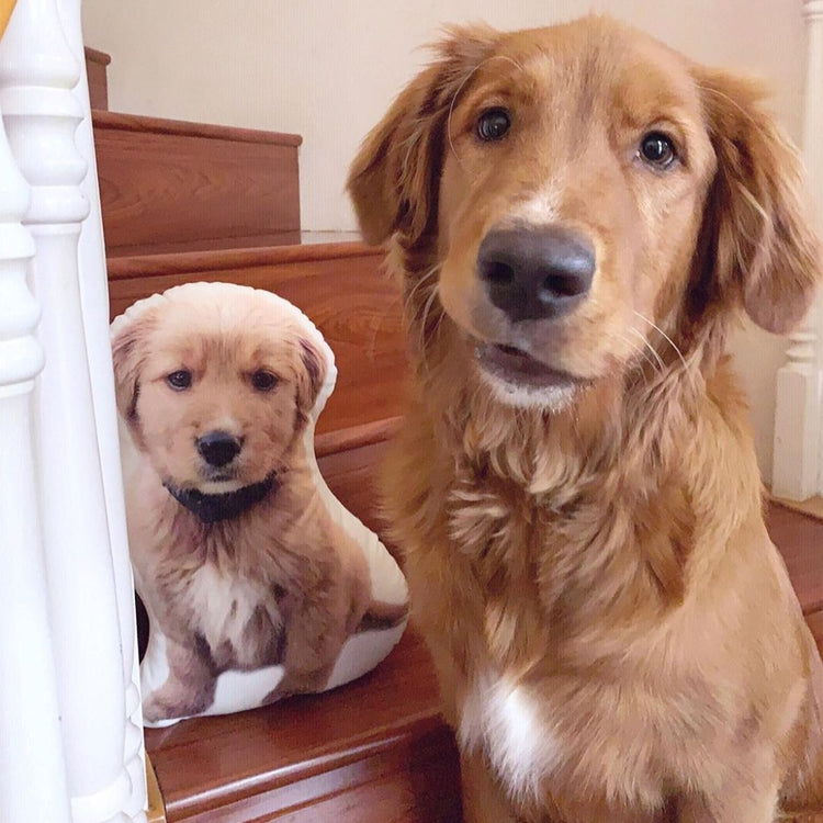 Almohada Personalizada con Forma de Golden Retriever