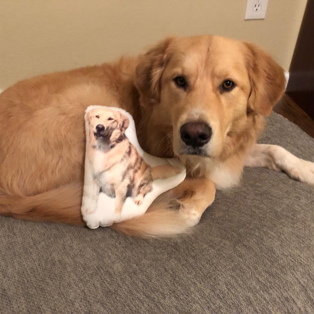 Golden Retriever Custom Shaped Pillow