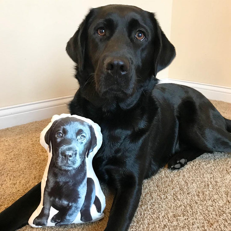 Almohada Personalizada con Forma de Labrador Retriever