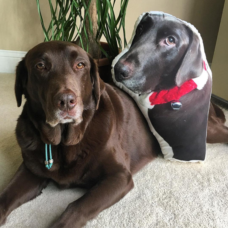 Almohada Personalizada con Forma de Labrador Retriever