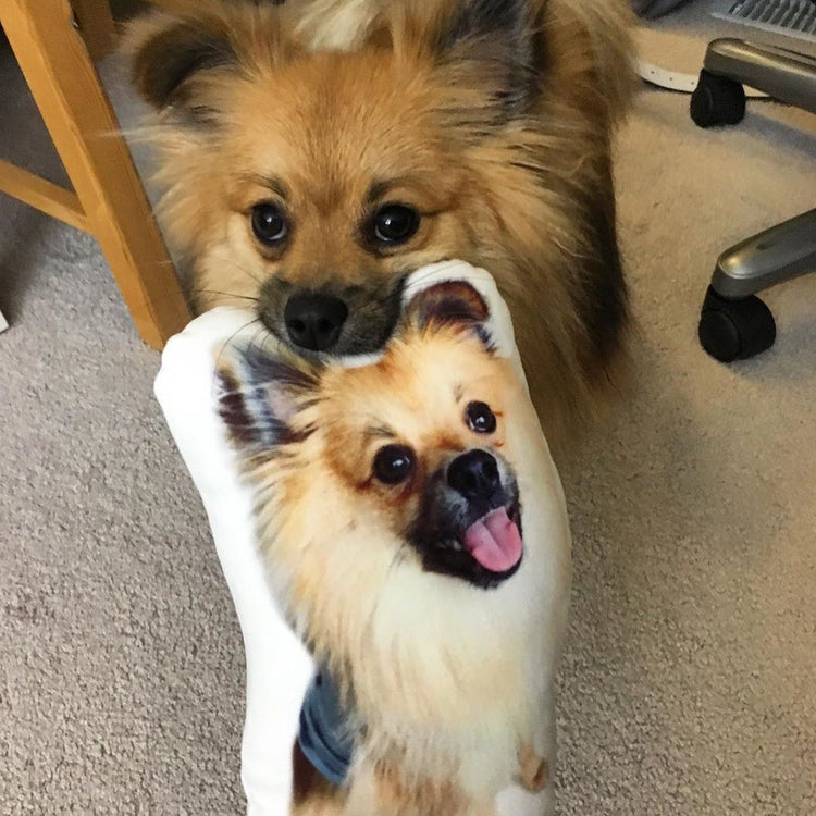 Almohada Personalizada con Forma de Pomerania