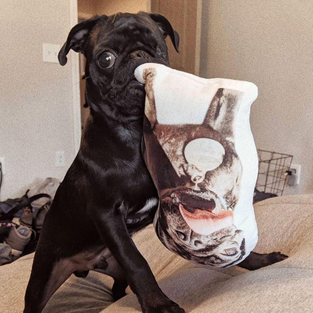 Pug Custom Shaped Pillow